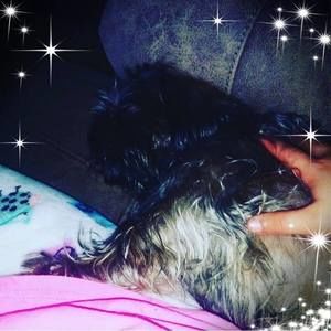 Meet your Posher, Alena